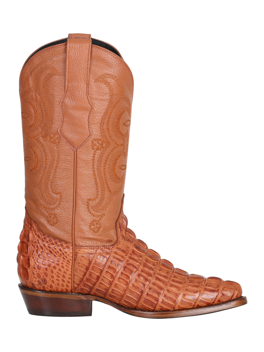Cowboy boot El Senor de los Cielos - Caiman - Cognac 40841
