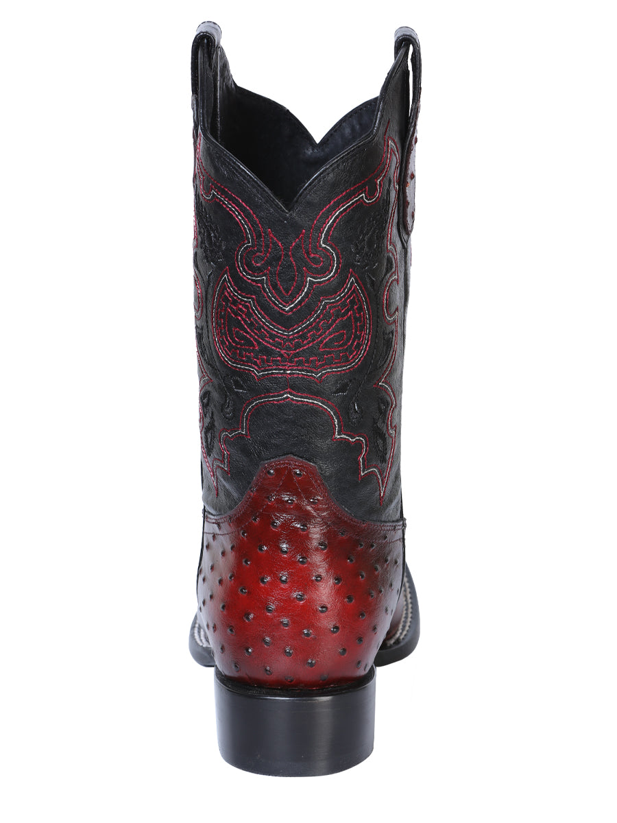 El General Rodeo Boot - Printed Ostrich Burgundy 41901